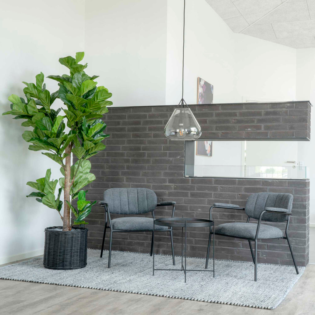 Fiddle Leaf Tree